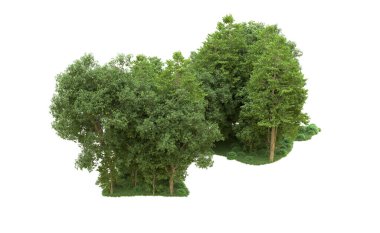 Yeşil orman ıssız. Afişler ve afişler için kullanışlı. 3d oluşturma.