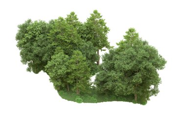 Yeşil orman ıssız. Afişler ve afişler için kullanışlı. 3d oluşturma.