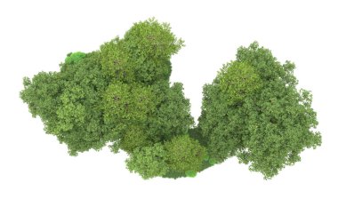 Yeşil orman ıssız. Afişler ve afişler için kullanışlı. 3d oluşturma.