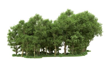 Yeşil orman ıssız. Afişler ve afişler için kullanışlı. 3d oluşturma.