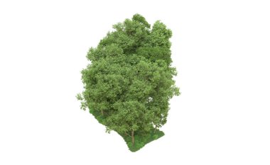 Yeşil orman ıssız. Afişler ve afişler için kullanışlı. 3d oluşturma.