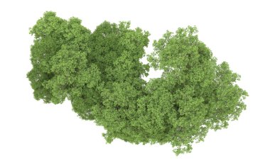 Yeşil orman ıssız. Afişler ve afişler için kullanışlı. 3d oluşturma.