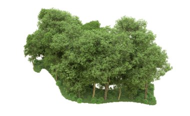 Yeşil orman ıssız. Afişler ve afişler için kullanışlı. 3d oluşturma.