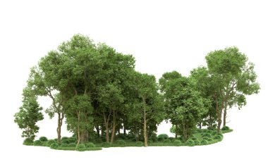 Yeşil orman ıssız. Afişler ve afişler için kullanışlı. 3d oluşturma.