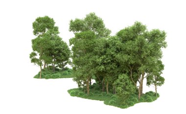 Yeşil orman ıssız. Afişler ve afişler için kullanışlı. 3d oluşturma.