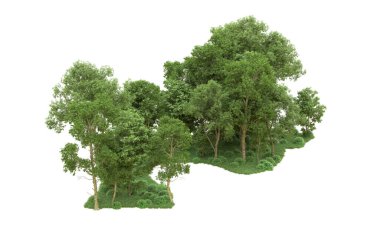 Yeşil orman ıssız. Afişler ve afişler için kullanışlı. 3d oluşturma.