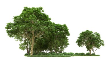 Yeşil orman ıssız. Afişler ve afişler için kullanışlı. 3d oluşturma.