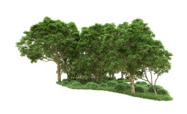 Yeşil orman ıssız. Afişler ve afişler için kullanışlı. 3d oluşturma.