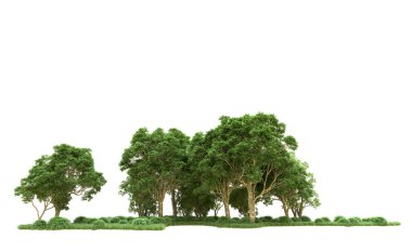 Yeşil orman ıssız. Afişler ve afişler için kullanışlı. 3d oluşturma.