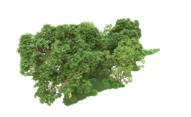 Yeşil orman ıssız. Afişler ve afişler için kullanışlı. 3d oluşturma.
