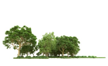 Yeşil orman ıssız. Afişler ve afişler için kullanışlı. 3d oluşturma.