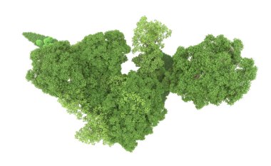 Yeşil orman ıssız. Afişler ve afişler için kullanışlı. 3d oluşturma.