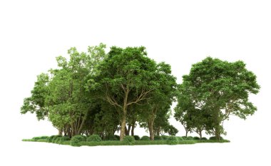 Yeşil orman ıssız. Afişler ve afişler için kullanışlı. 3d oluşturma.