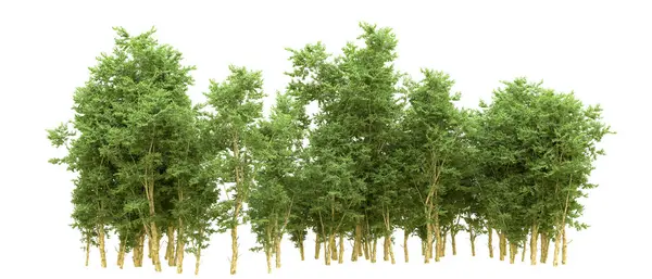 Yeşil orman ıssız. Afişler ve afişler için kullanışlı. 3d oluşturma.