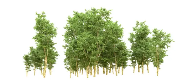 Yeşil orman ıssız. Afişler ve afişler için kullanışlı. 3d oluşturma.