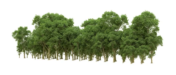 Yeşil orman ıssız. Afişler ve afişler için kullanışlı. 3d oluşturma.