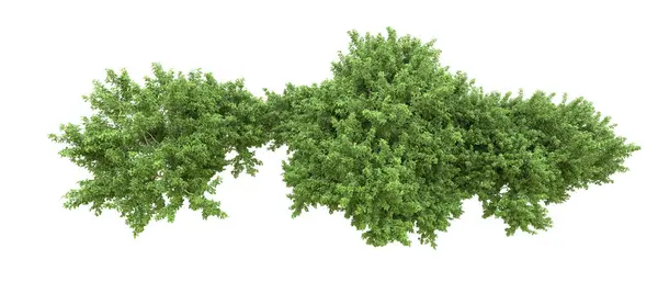 Yeşil orman ıssız. Afişler ve afişler için kullanışlı. 3d oluşturma.