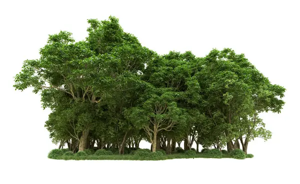 Yeşil orman ıssız. Afişler ve afişler için kullanışlı. 3d oluşturma.