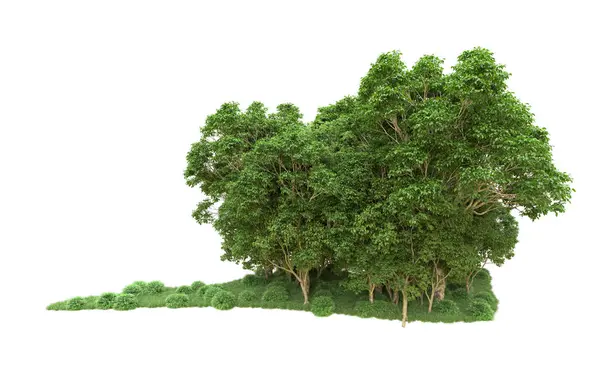 Yeşil orman ıssız. Afişler ve afişler için kullanışlı. 3d oluşturma.
