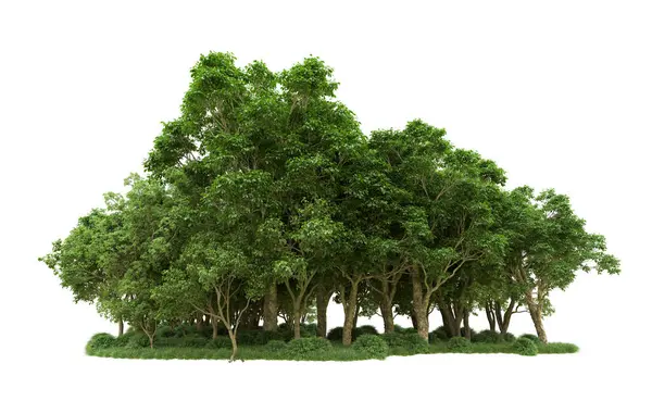 Yeşil orman ıssız. Afişler ve afişler için kullanışlı. 3d oluşturma.