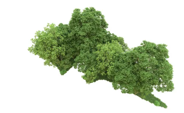 Yeşil orman ıssız. Afişler ve afişler için kullanışlı. 3d oluşturma.