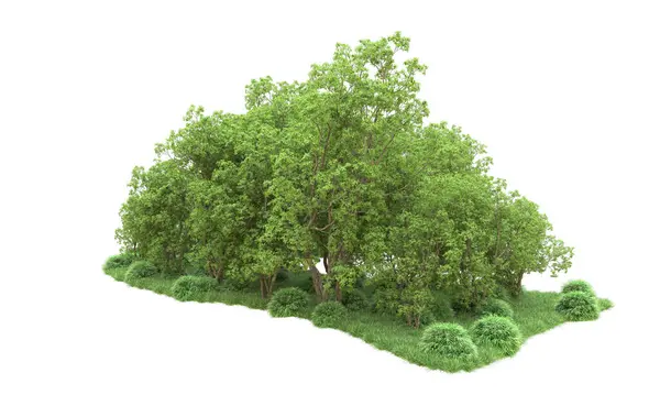 Yeşil orman ıssız. Afişler ve afişler için kullanışlı. 3d oluşturma.