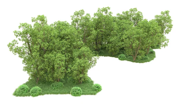 Yeşil orman ıssız. Afişler ve afişler için kullanışlı. 3d oluşturma.