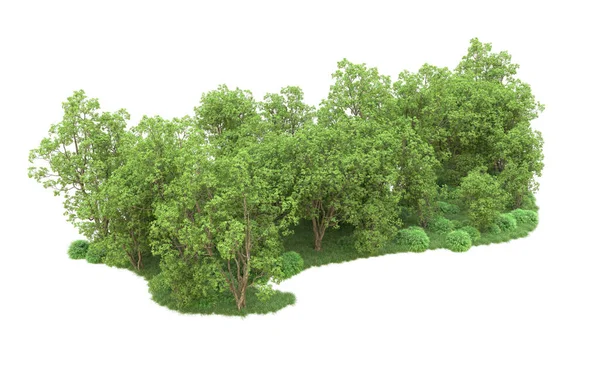 Yeşil orman ıssız. Afişler ve afişler için kullanışlı. 3d oluşturma.