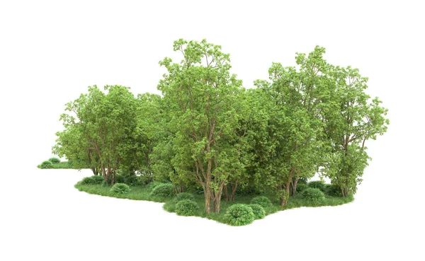 Yeşil orman ıssız. Afişler ve afişler için kullanışlı. 3d oluşturma.