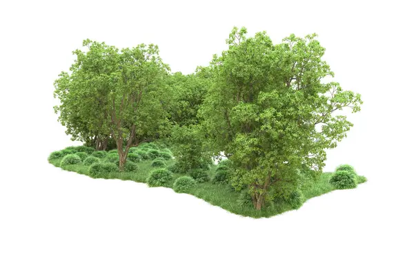 Yeşil orman ıssız. Afişler ve afişler için kullanışlı. 3d oluşturma.