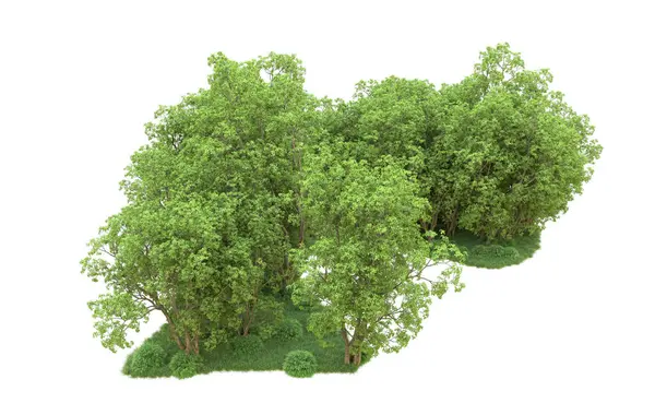 Yeşil orman ıssız. Afişler ve afişler için kullanışlı. 3d oluşturma.