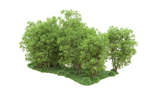 Yeşil orman ıssız. Afişler ve afişler için kullanışlı. 3d oluşturma.