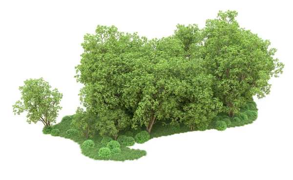 Yeşil orman ıssız. Afişler ve afişler için kullanışlı. 3d oluşturma.