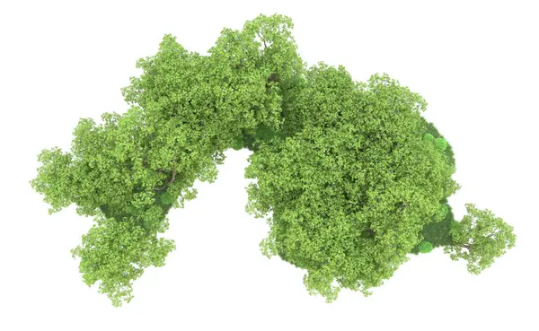 Yeşil orman ıssız. Afişler ve afişler için kullanışlı. 3d oluşturma.