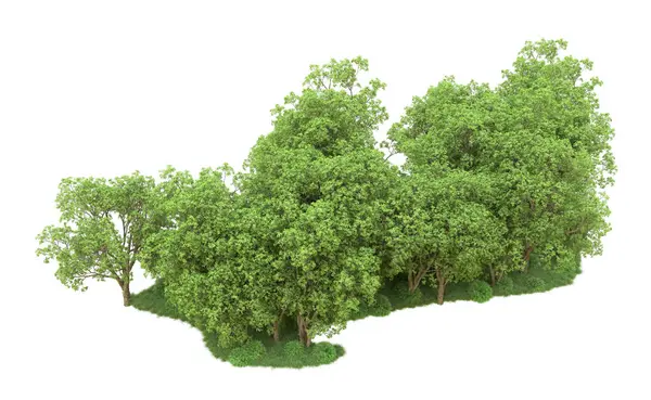Yeşil orman ıssız. Afişler ve afişler için kullanışlı. 3d oluşturma.
