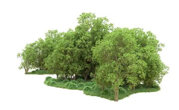 Yeşil orman ıssız. Afişler ve afişler için kullanışlı. 3d oluşturma.