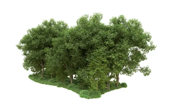 Yeşil orman ıssız. Afişler ve afişler için kullanışlı. 3d oluşturma.