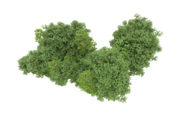 Yeşil orman ıssız. Afişler ve afişler için kullanışlı. 3d oluşturma.