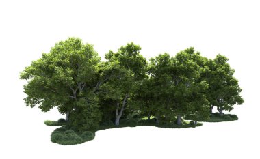 Beyaz arkaplanda bir grup ağaç