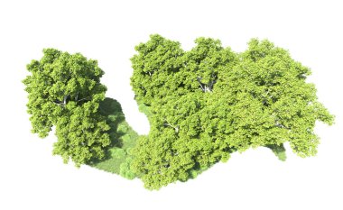 Beyaz arkaplanda bir grup ağaç