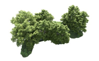 Beyaz arkaplanda bir grup ağaç