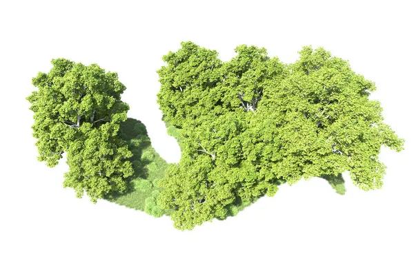 Beyaz arkaplanda bir grup ağaç