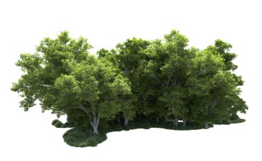 Beyaz arkaplanda bir grup ağaç