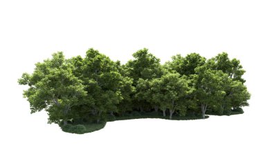 Beyaz arkaplanda bir grup ağaç