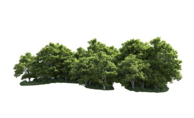 Beyaz arkaplanda bir grup ağaç