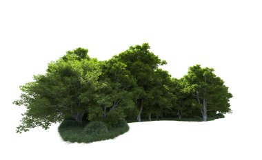 Beyaz arkaplanda bir grup ağaç