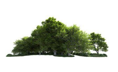 Beyaz arkaplanda bir grup ağaç