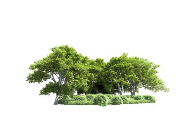 Beyaz arkaplanda bir grup ağaç