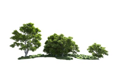 Beyaz arkaplanda bir grup ağaç