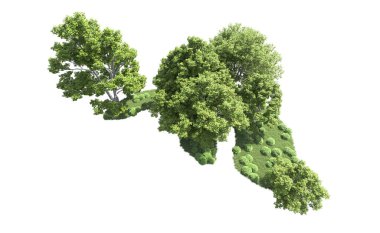 Beyaz arkaplanda bir grup ağaç